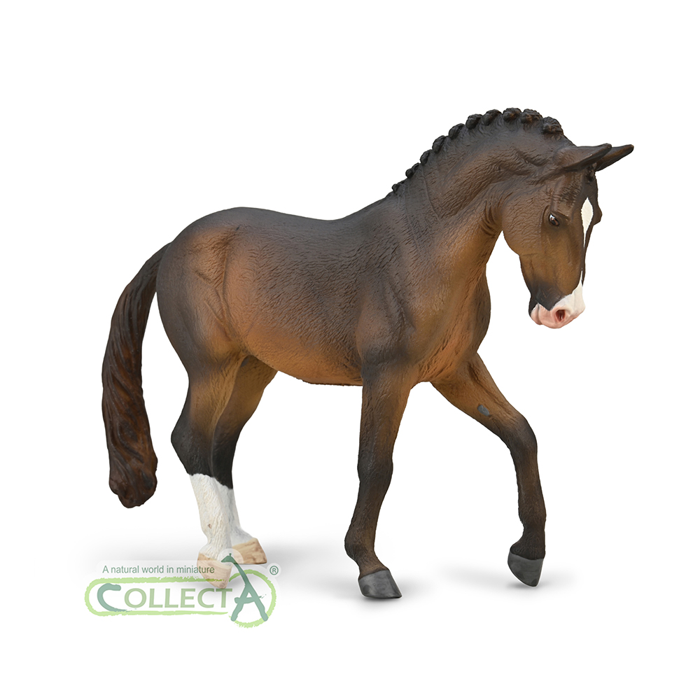 80052 - Trakehner Hengst Seal Bay (XL)