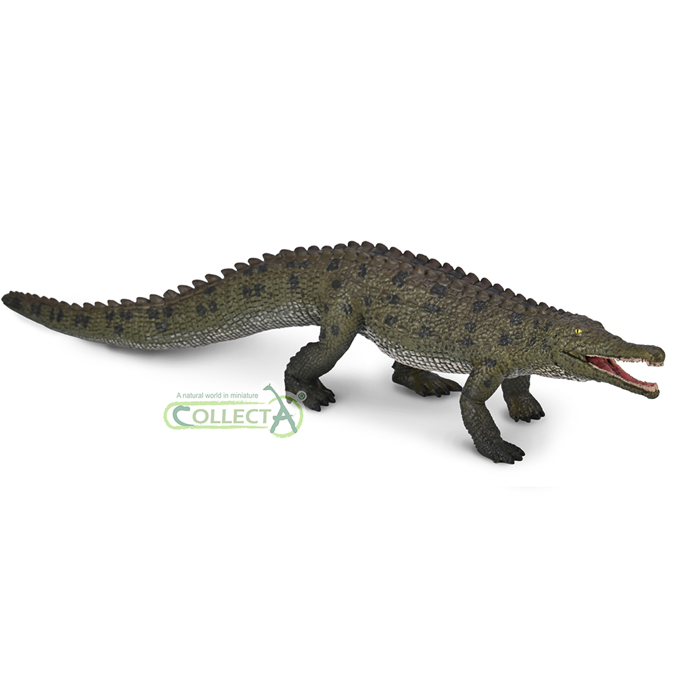80061 - Colossosuchus techniensis mit beweglichem Kiefer – Maßstab 140