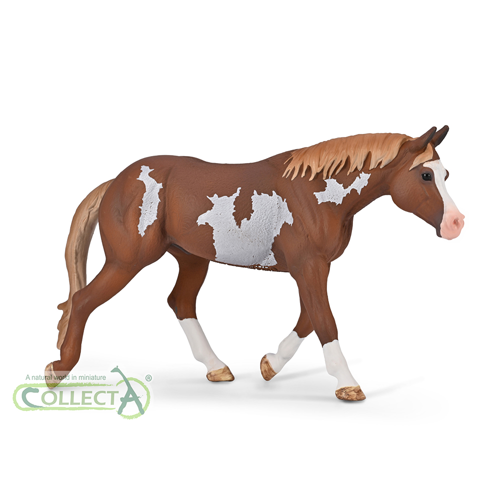 80062 - American Paint Horse Hengst Chestnut Overo (XL)