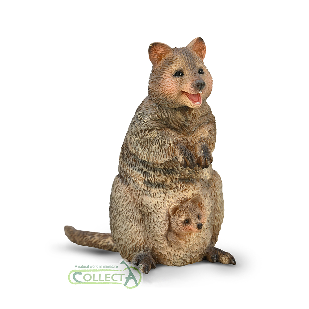 80063 - Quokka mit Joey (M)