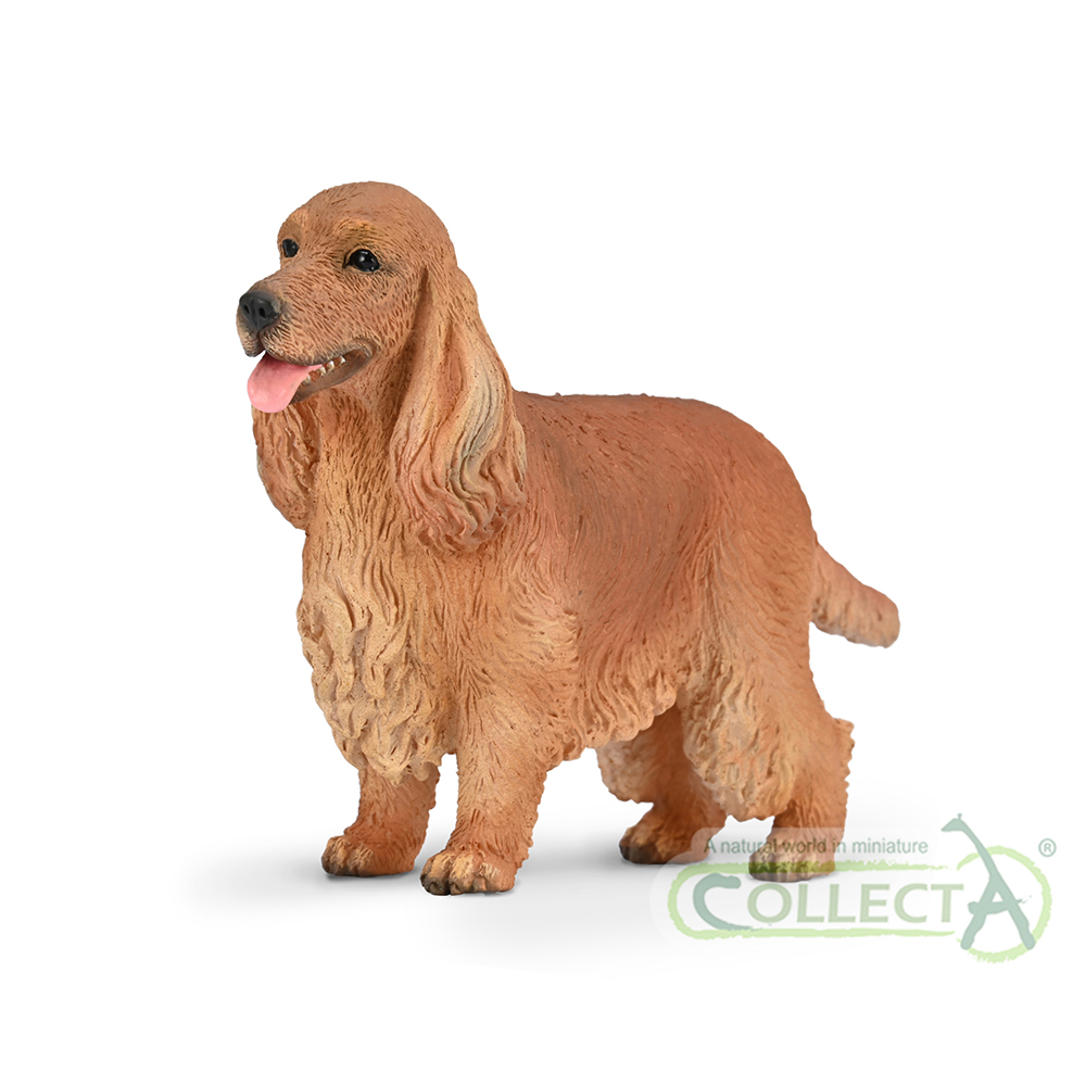 80065 - Englischer Cocker Spaniel (M)