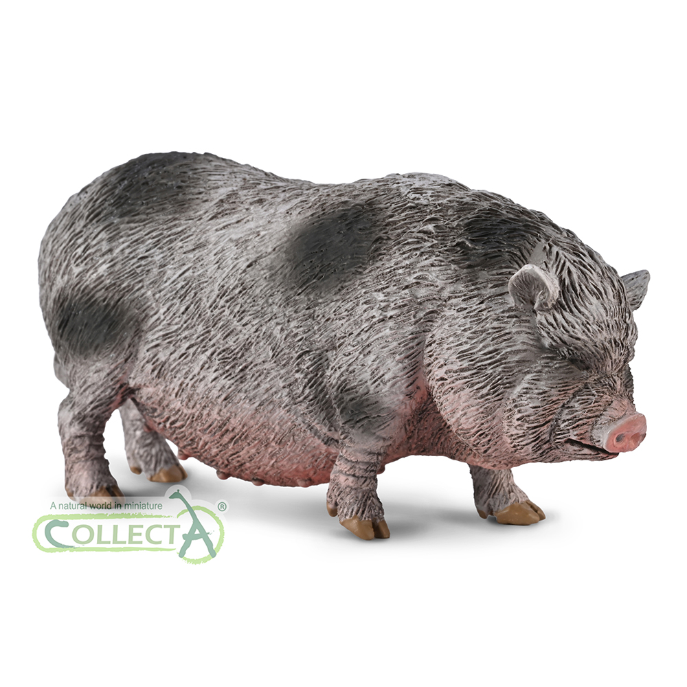 80067 - Hängebauchschwein (M)