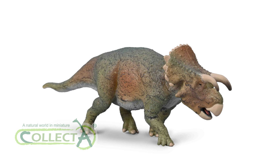 FURCATOCERATOPS (M)