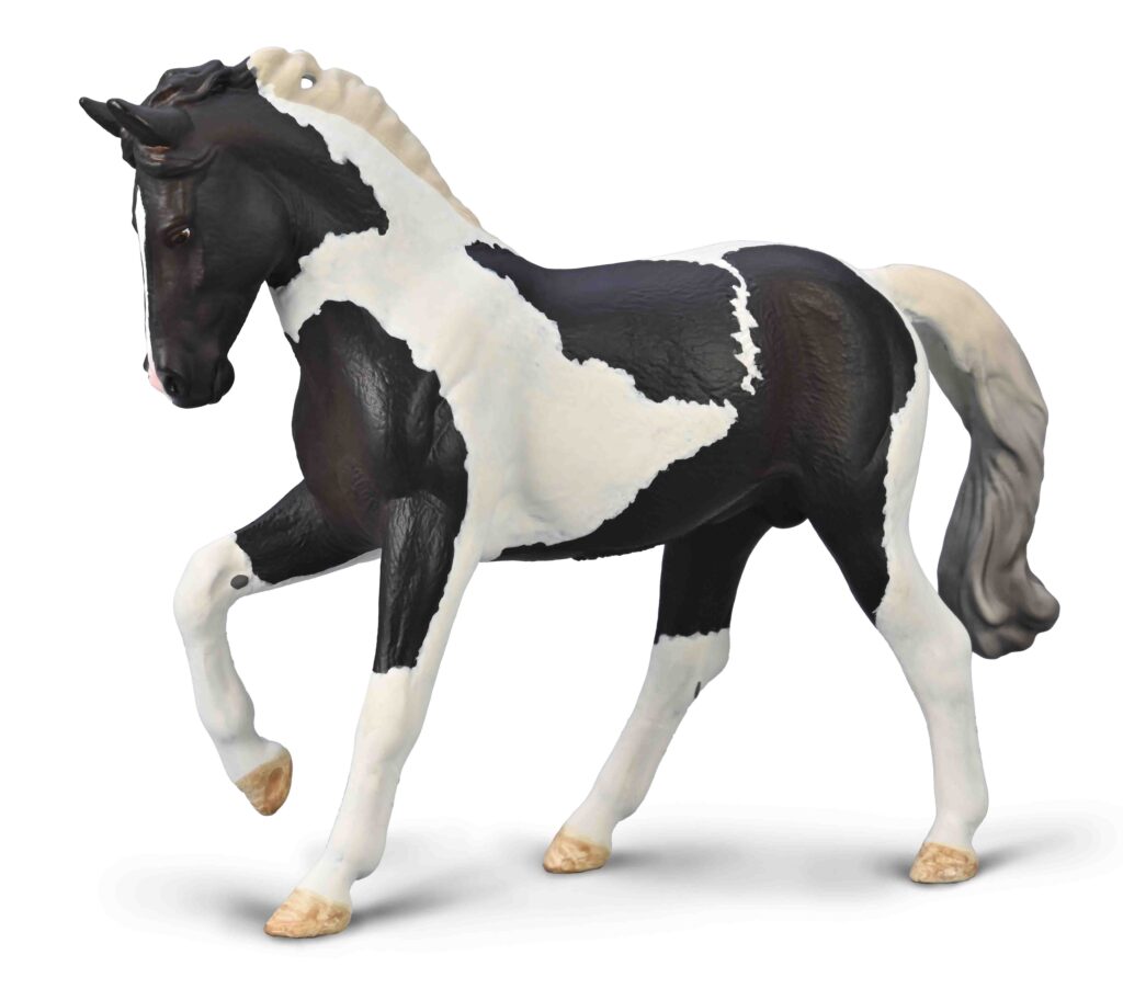 WARMBLUTHENGST - BLACK TOBIANO  (XL)