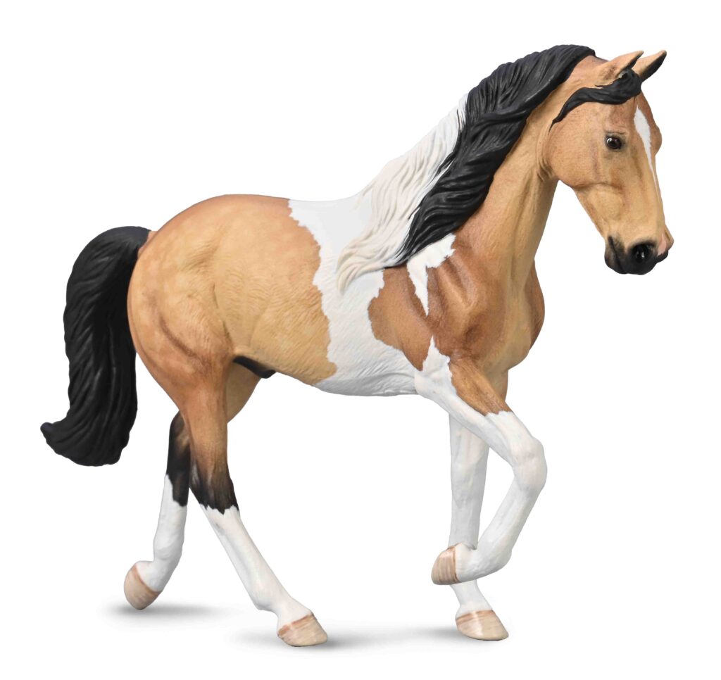 TENNESSEE WALKING HORSE HENGST -  BUCKSKIN TOBIANO  (XL)