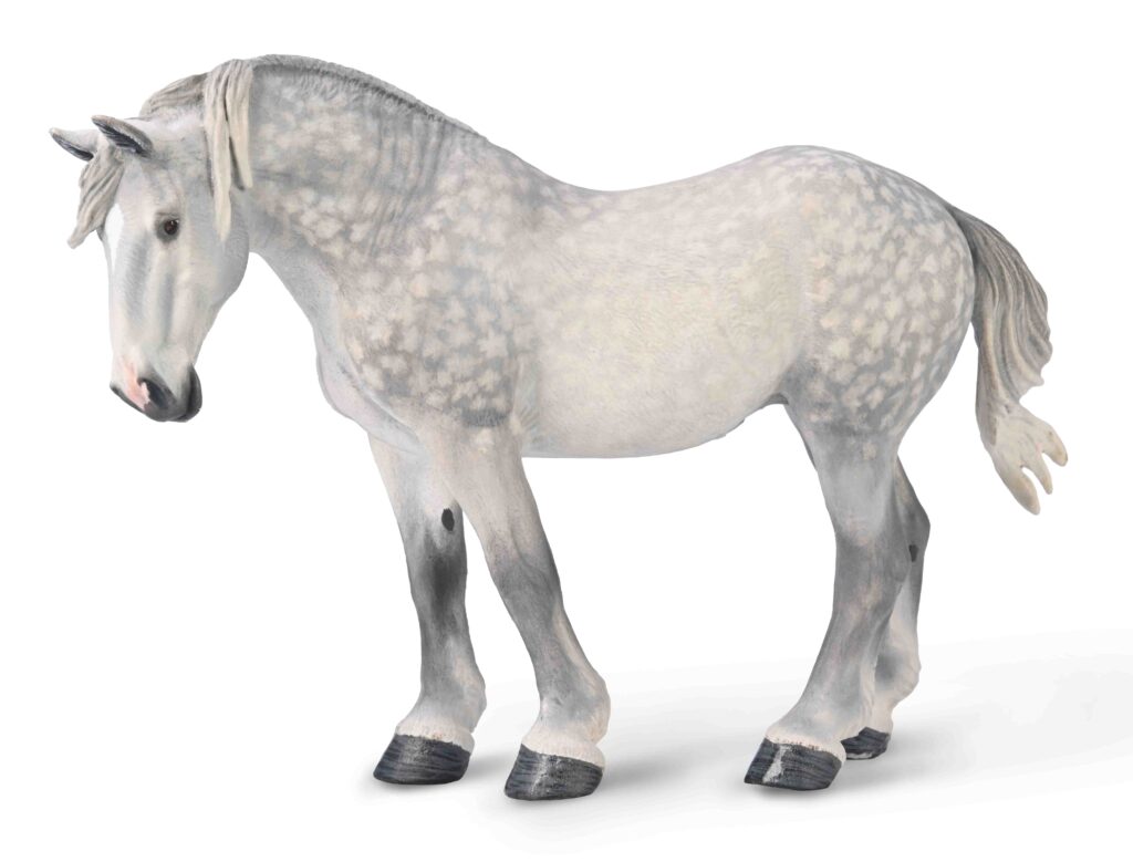 PERCHERON-STUTE - APFELGRAU (XL)