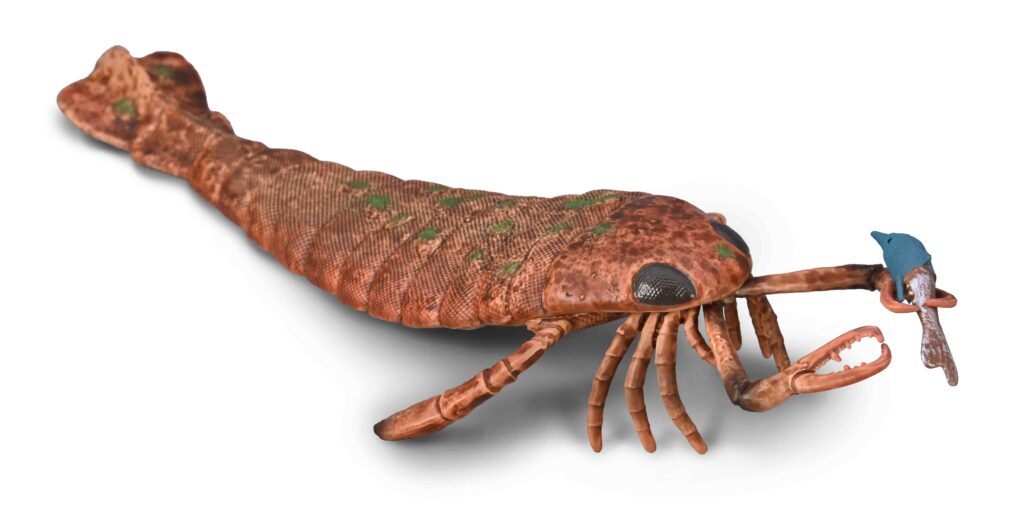 JAEKELOPTERUS (XL)