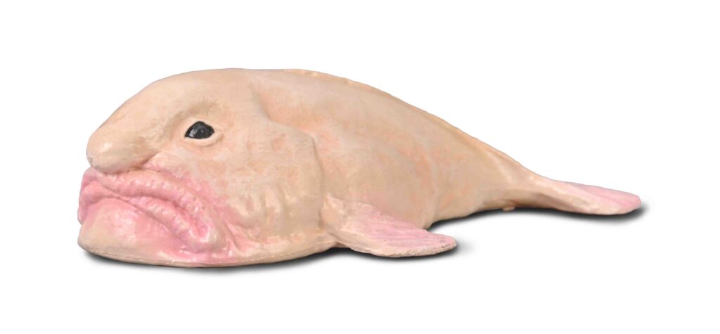 BLOBFISCH (S)