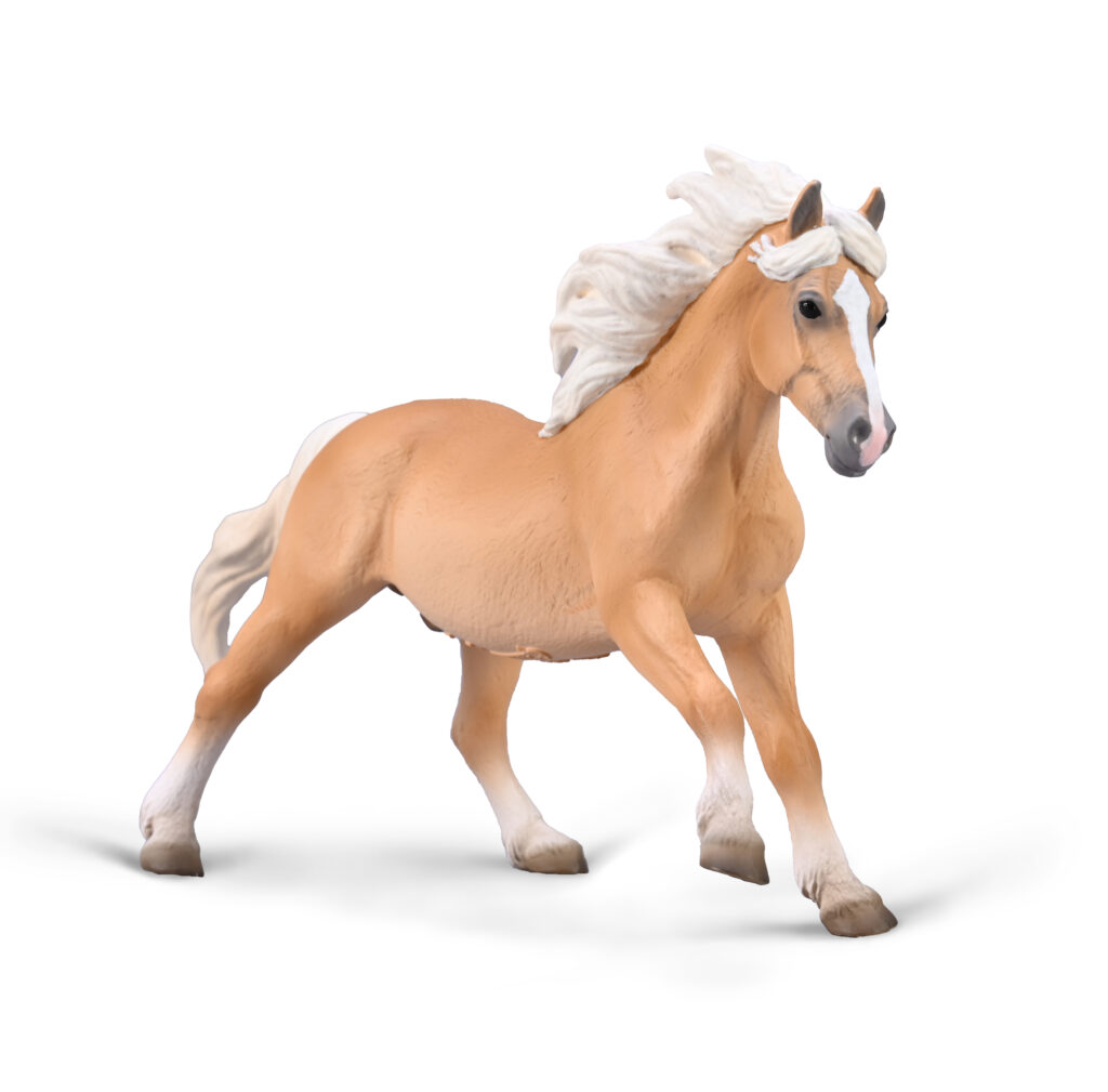HAFLINGER HENGST (XL)
