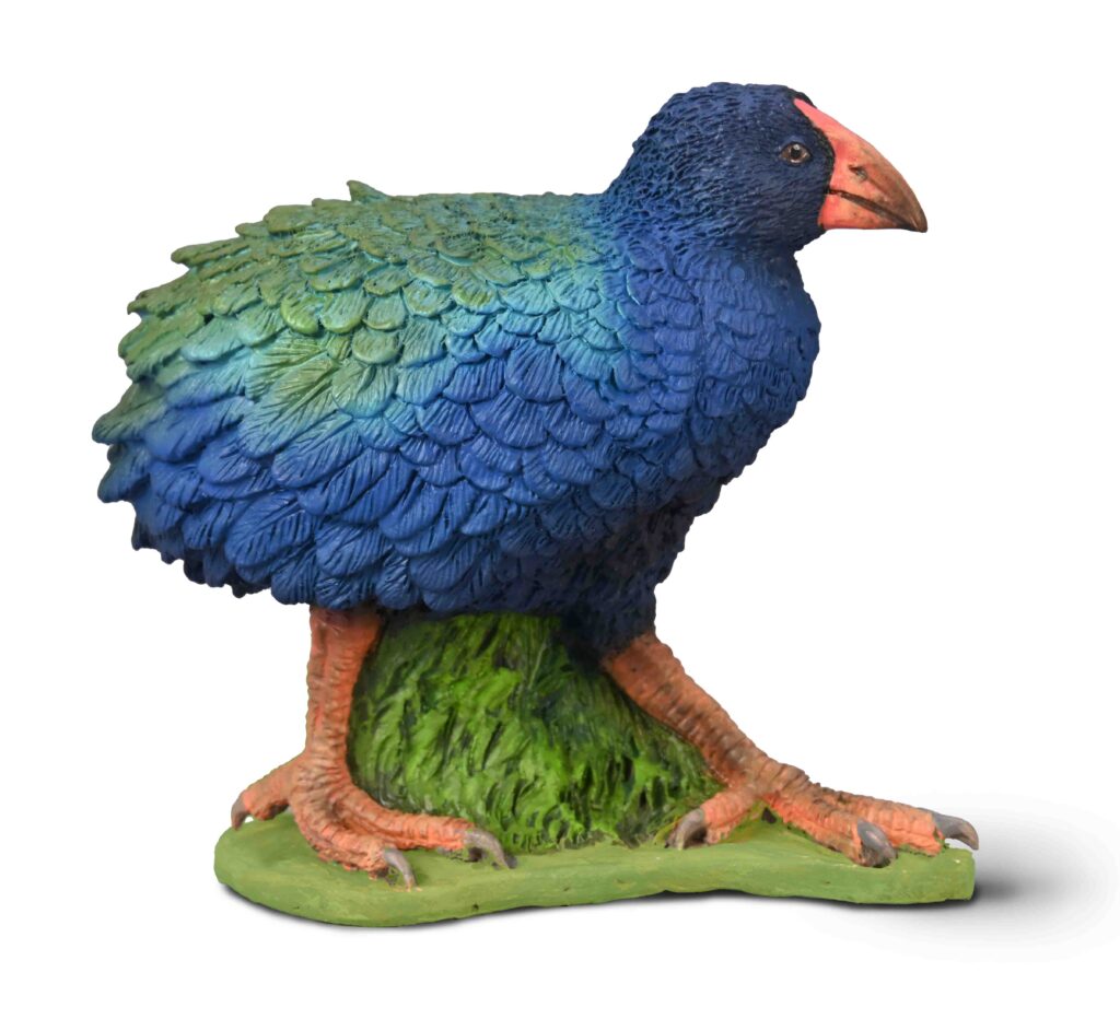 TAKAHE (M)