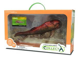 DUNKLEOSTEUS 1:20 DELUXE, WINDOW BOX