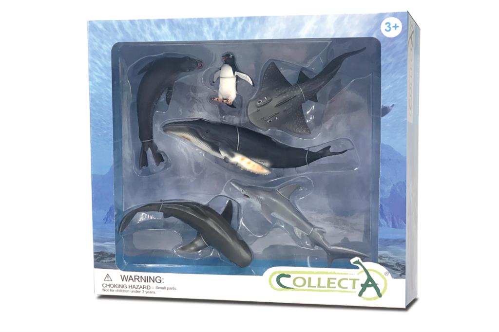 6 ST MEERESLEBEN SET WINDOW BOX