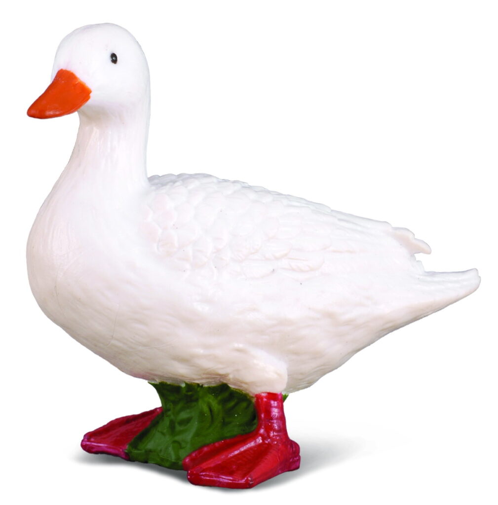 WEISSE ENTE (S)