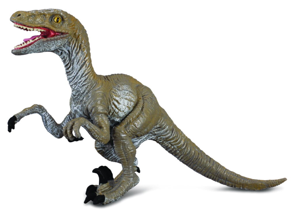 VELOCIRAPTOR (M)