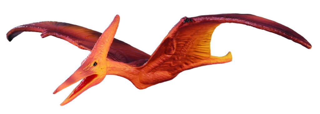 PTERANODON (M)