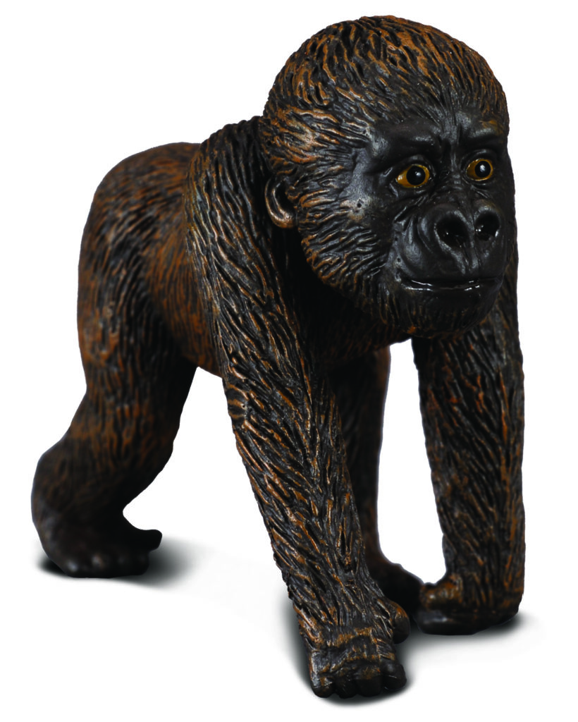 * WESTLICHES GORILLAJUNGES (S)