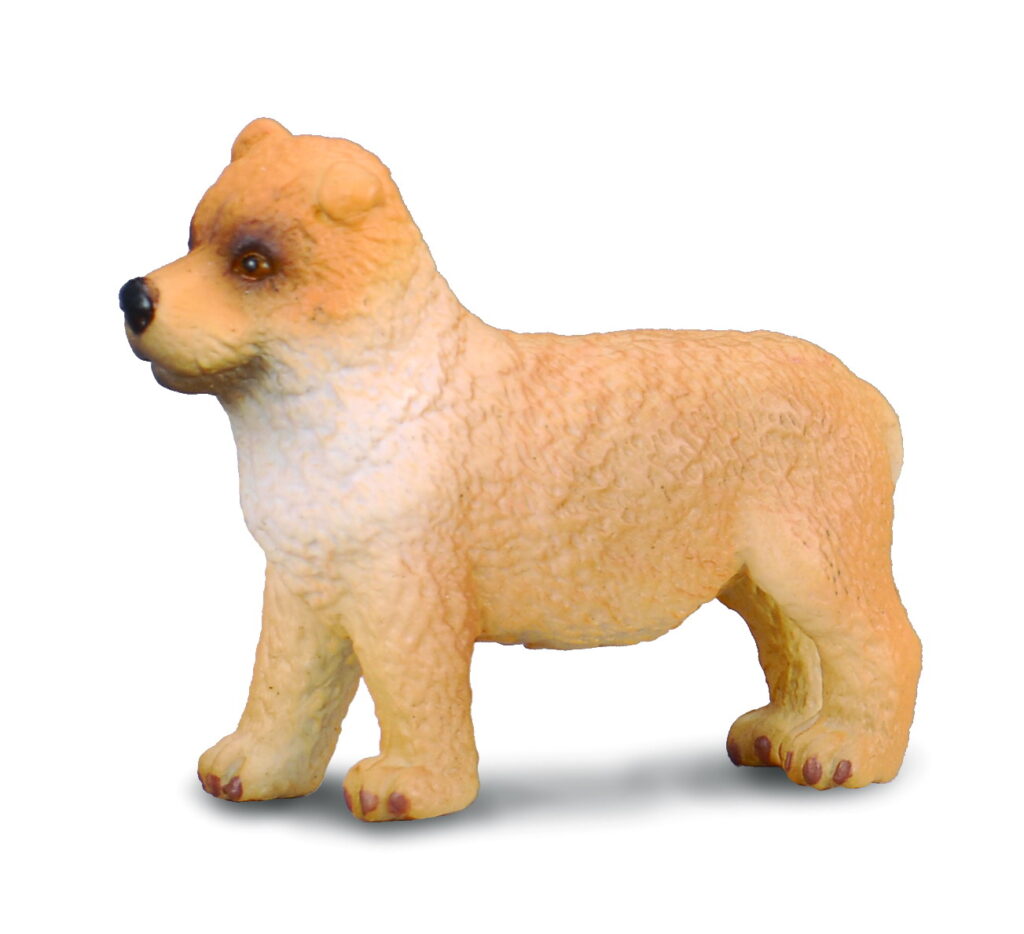 * CHOW CHOW - WELPE (S)