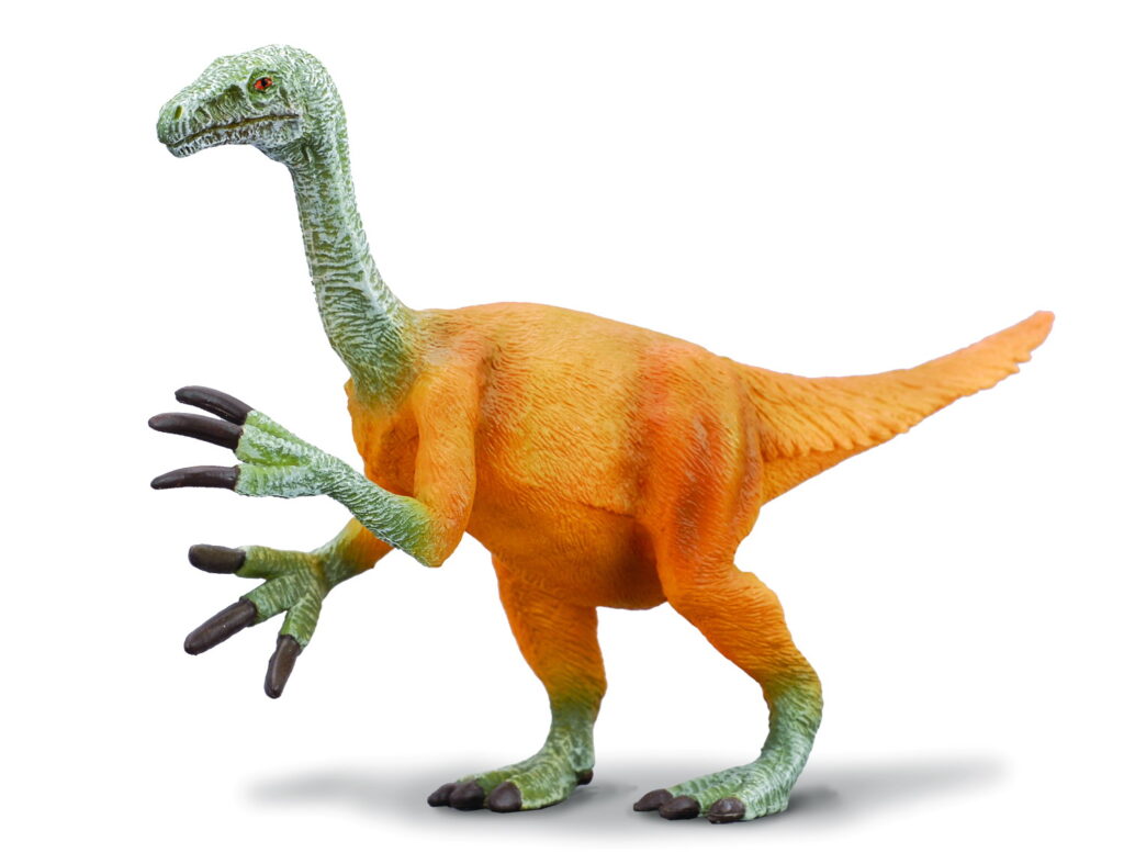 * NOTHRONYCHUS (L)