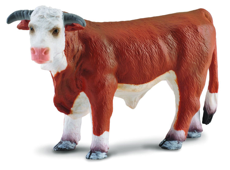 * HEREFORD BULLE (L)