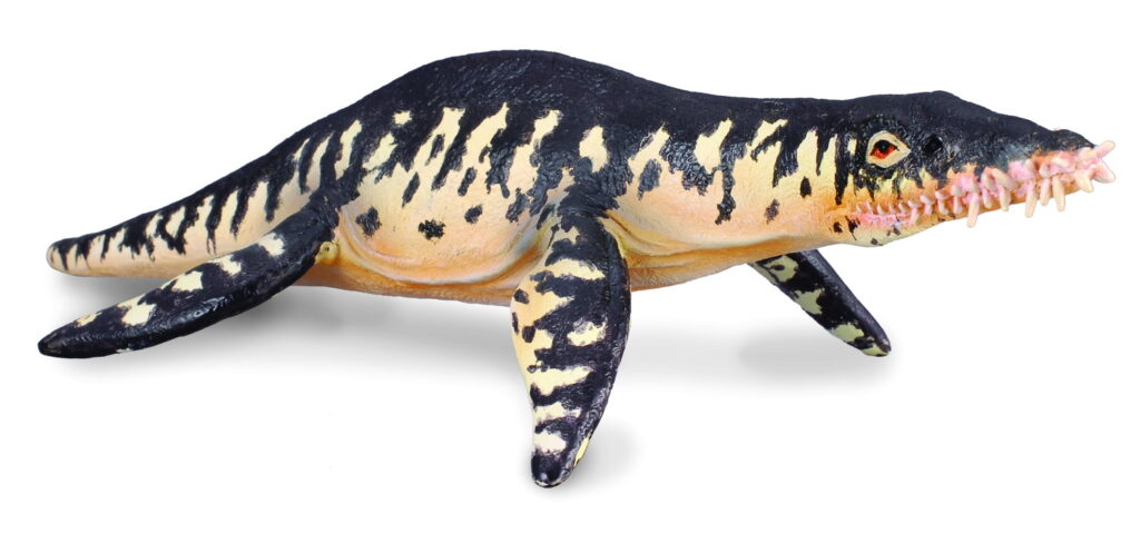 LIOPLEURODON (L)