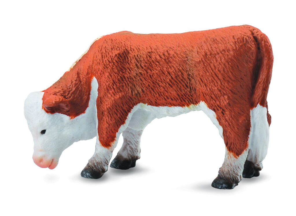 HEREFORD KÄLBCHEN - GRASEND (S)