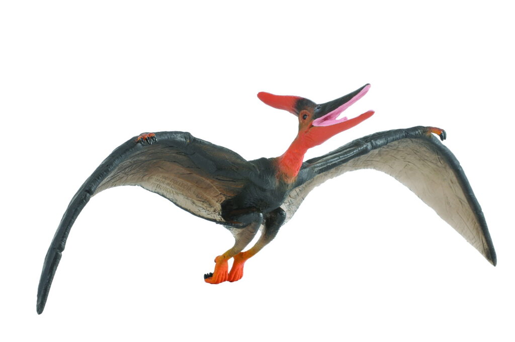 PTERANODON 1:40 (DELUXE)