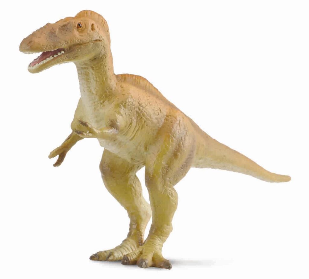 * ALIORAMUS (L)