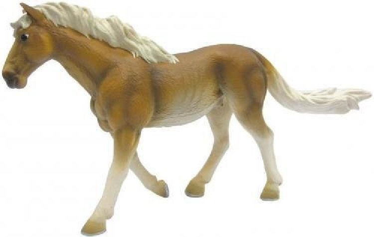 * HAFLINGER (XL)