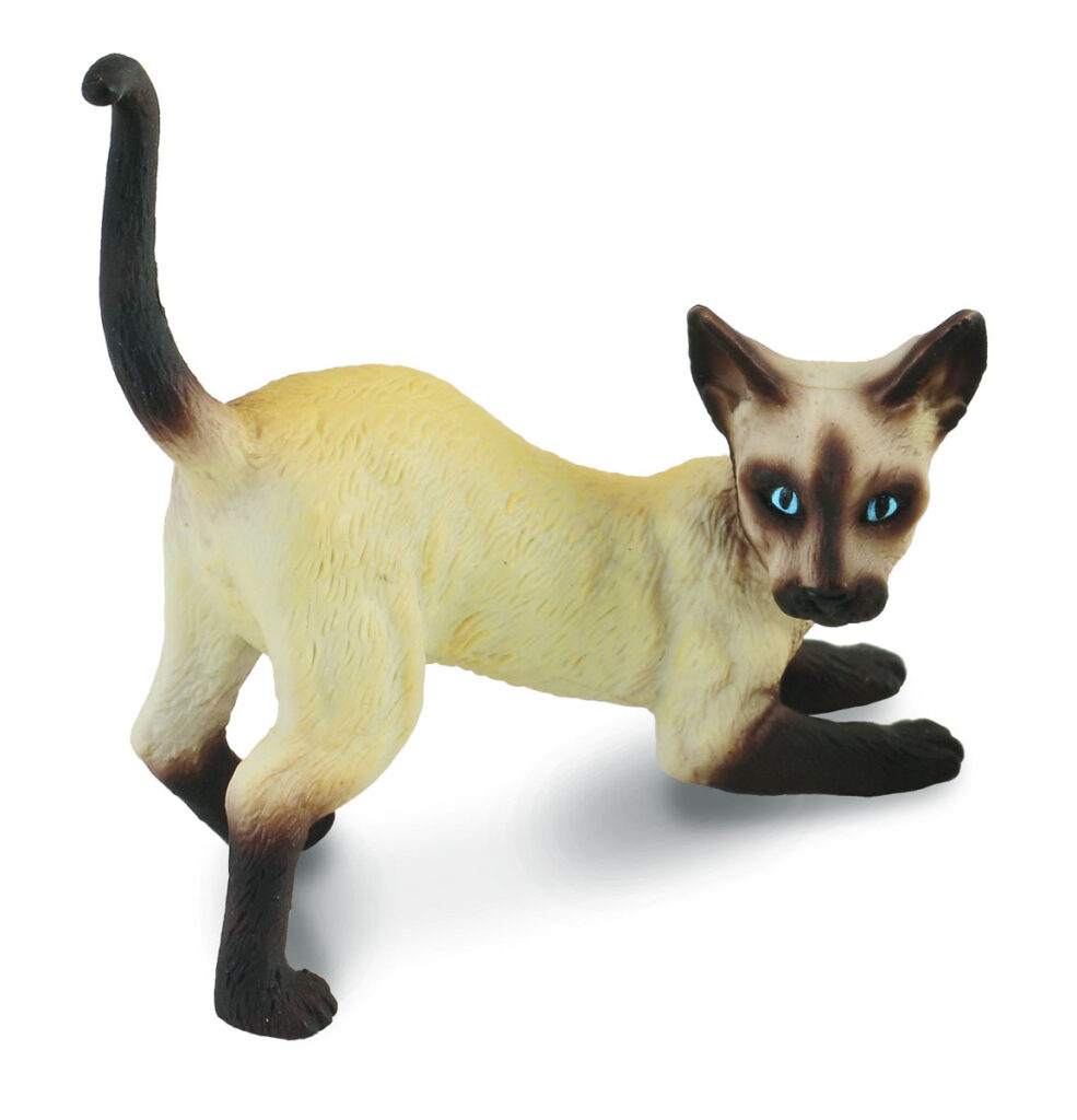 * SIAMKATZE - SICH STRECKEND (S)
