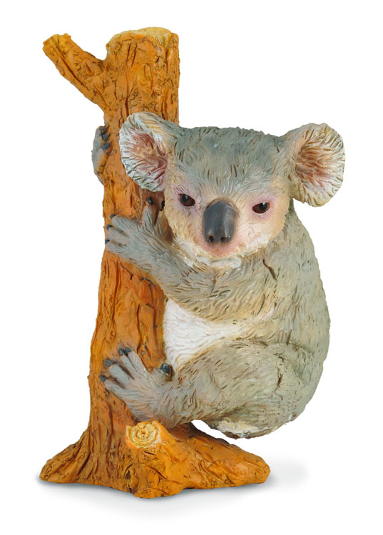 KOALA - KLETTERND (M)