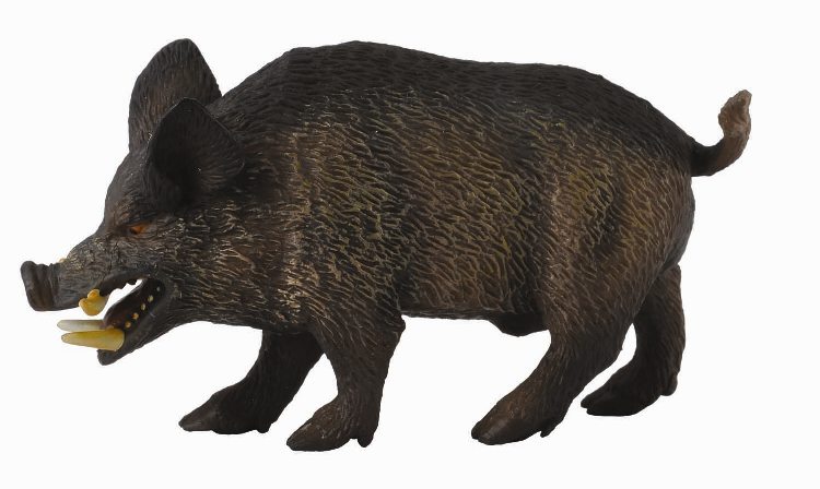 WILDSCHWEIN - EBER (M)