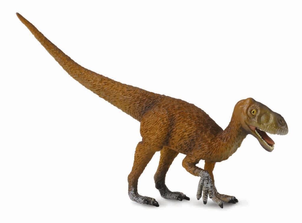* EOTYRANNUS (L)