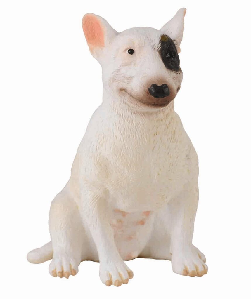 * BULLTERRIER HÜNDIN (M)