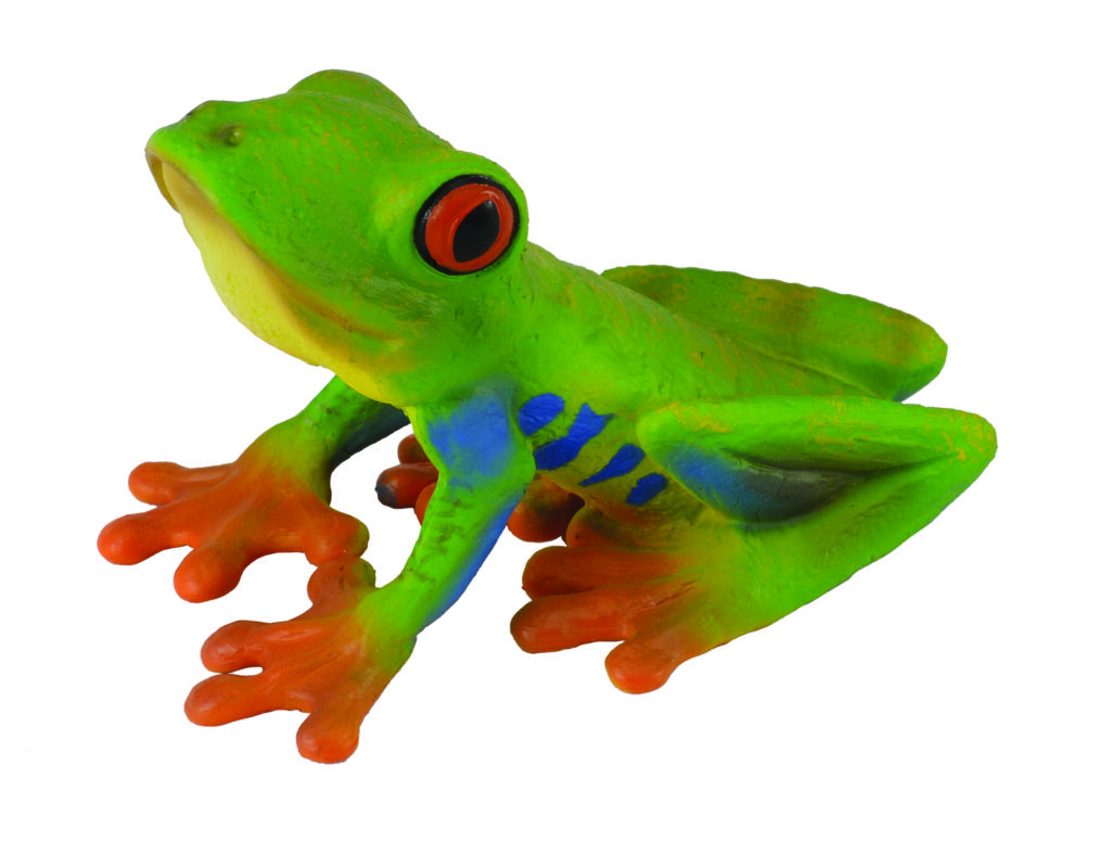 ROTAUGENLAUBFROSCH (M)
