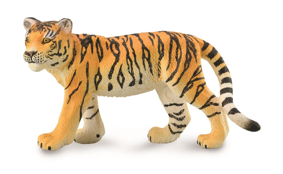 TIGERJUNGES - GEHEND (M)
