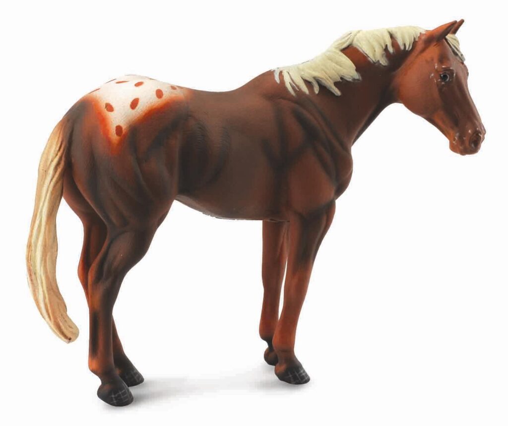 * APPALOOSA HENGST FUCHSFARBEN (XL)