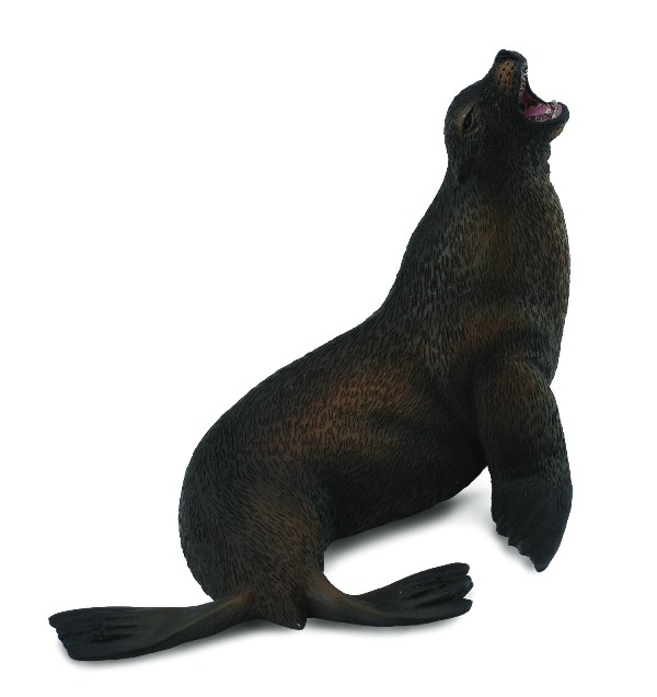 SEELÖWE (L)