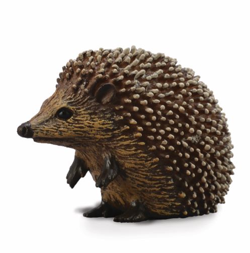 IGEL (S)