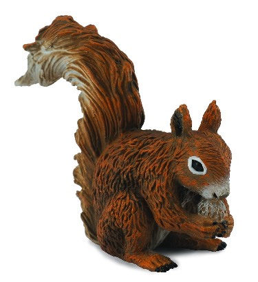 EICHHÖRNCHEN - ESSEND (S)