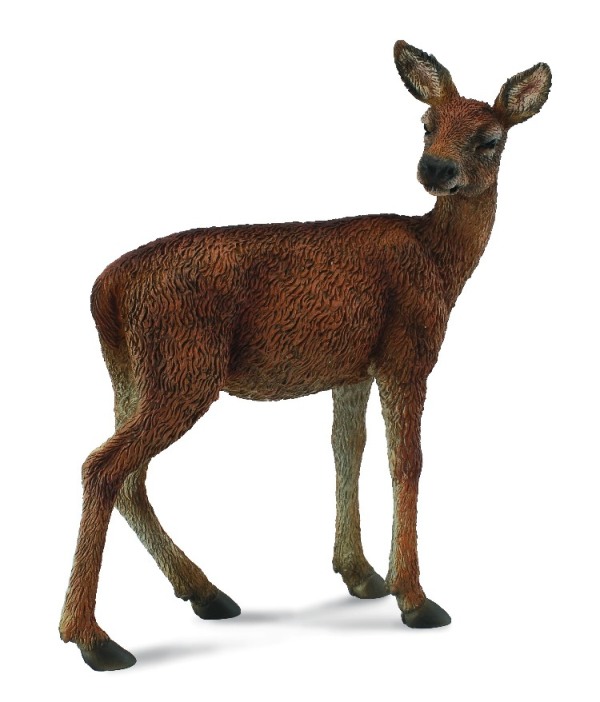 ROTWILD HIRSCHKUH (M)