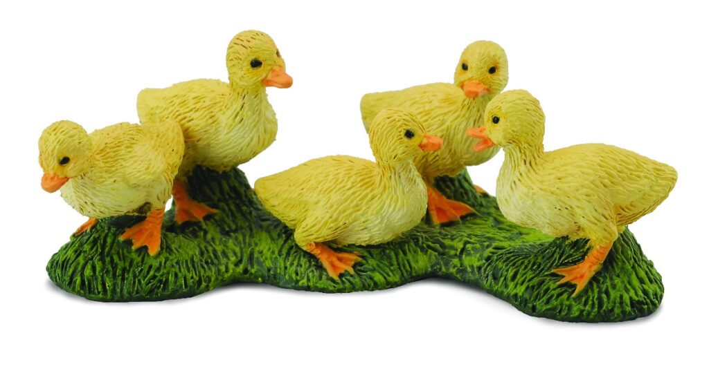 ENTENKÜKEN (S)