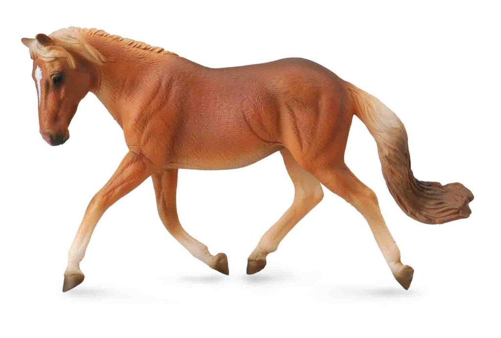 HAFLINGER STUTE (XL)