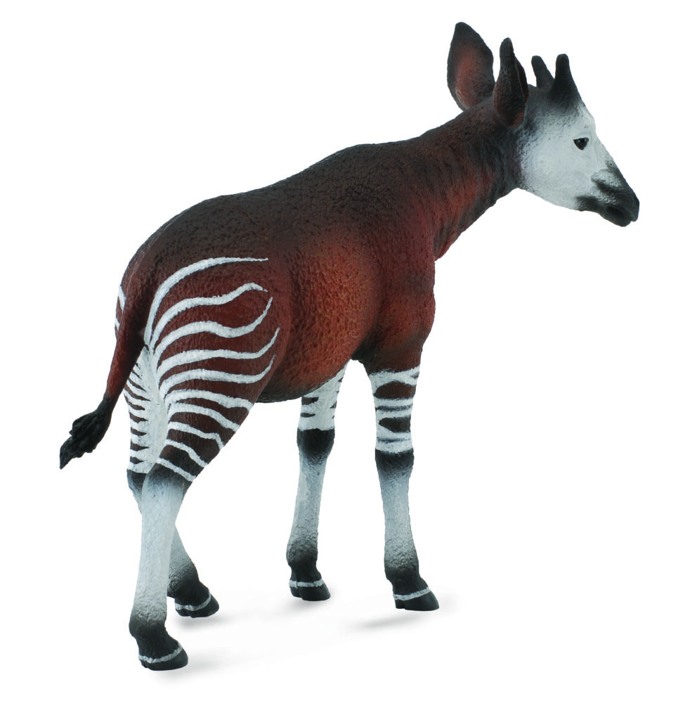 OKAPI (L)