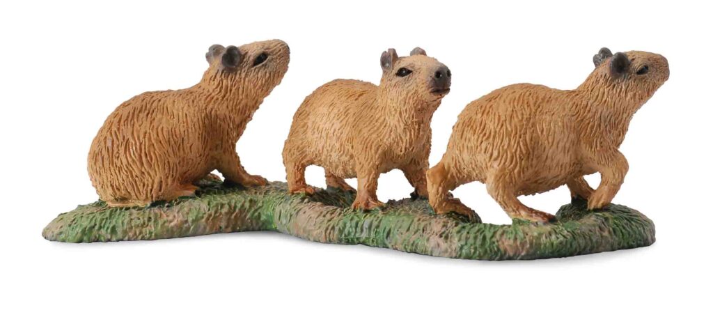 CAPYBARA-JUNGE (S)