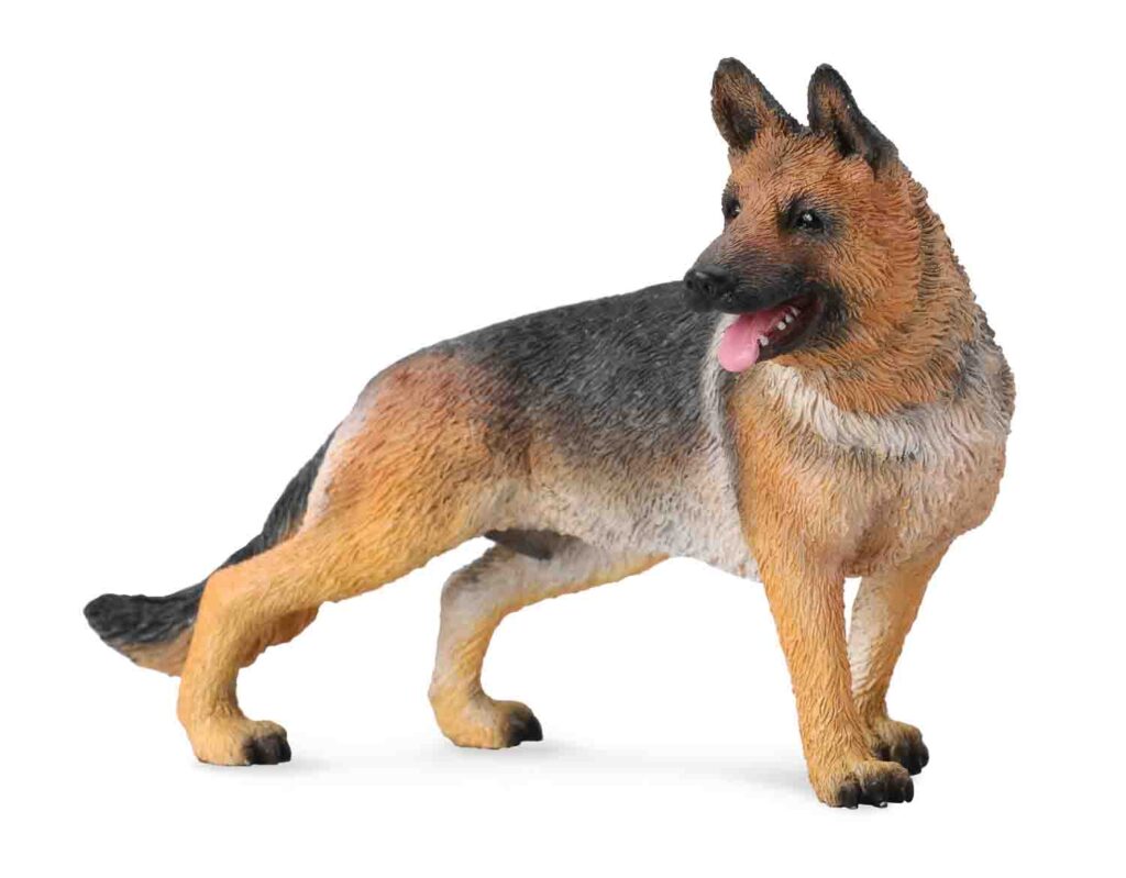 DEUTSCHER SCHÄFERHUND (L)