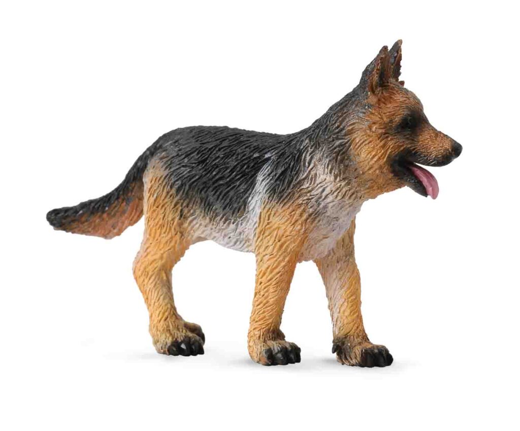 DEUTSCHER SCHÄFERHUND - WELPE (S)