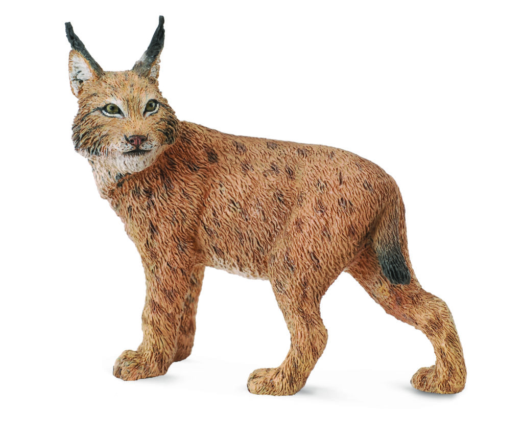 LUCHS (L)