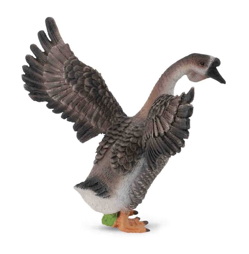 GÄNSERICH (M)