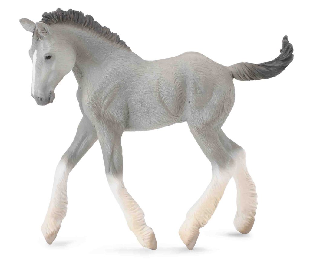 SHIRE HORSE FOHLEN GRAU (M)