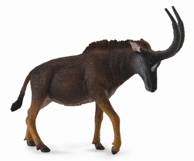 RIESEN-RAPPENANTILOPE - WEIBCHEN (L)